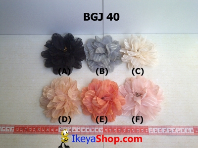 BGJ 40  large2